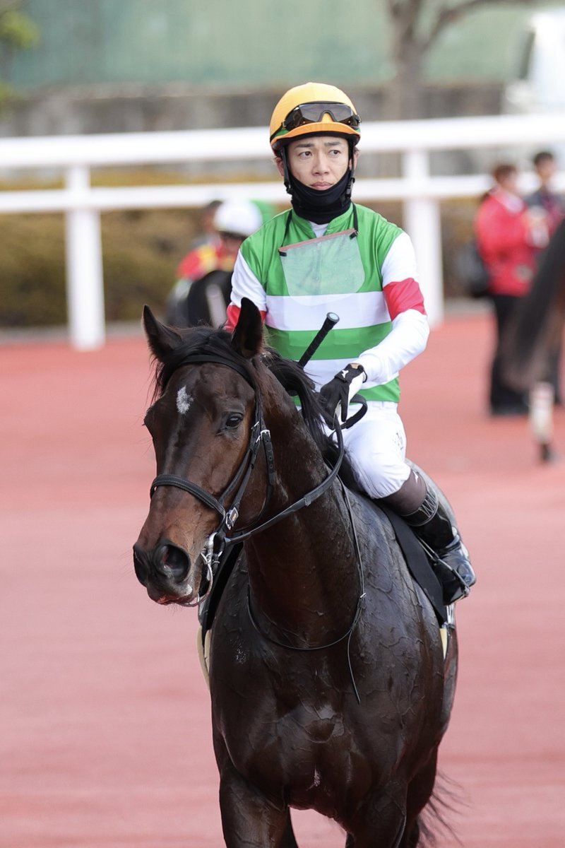 ロックターミガン、ダートでまさかの勝利にファン驚き