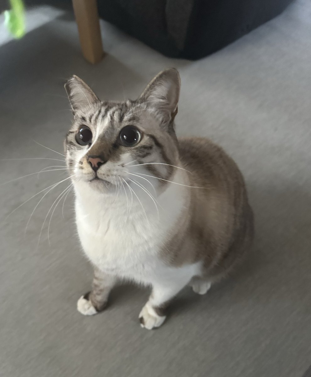 洗濯日和の11月7日、全国の天気は？