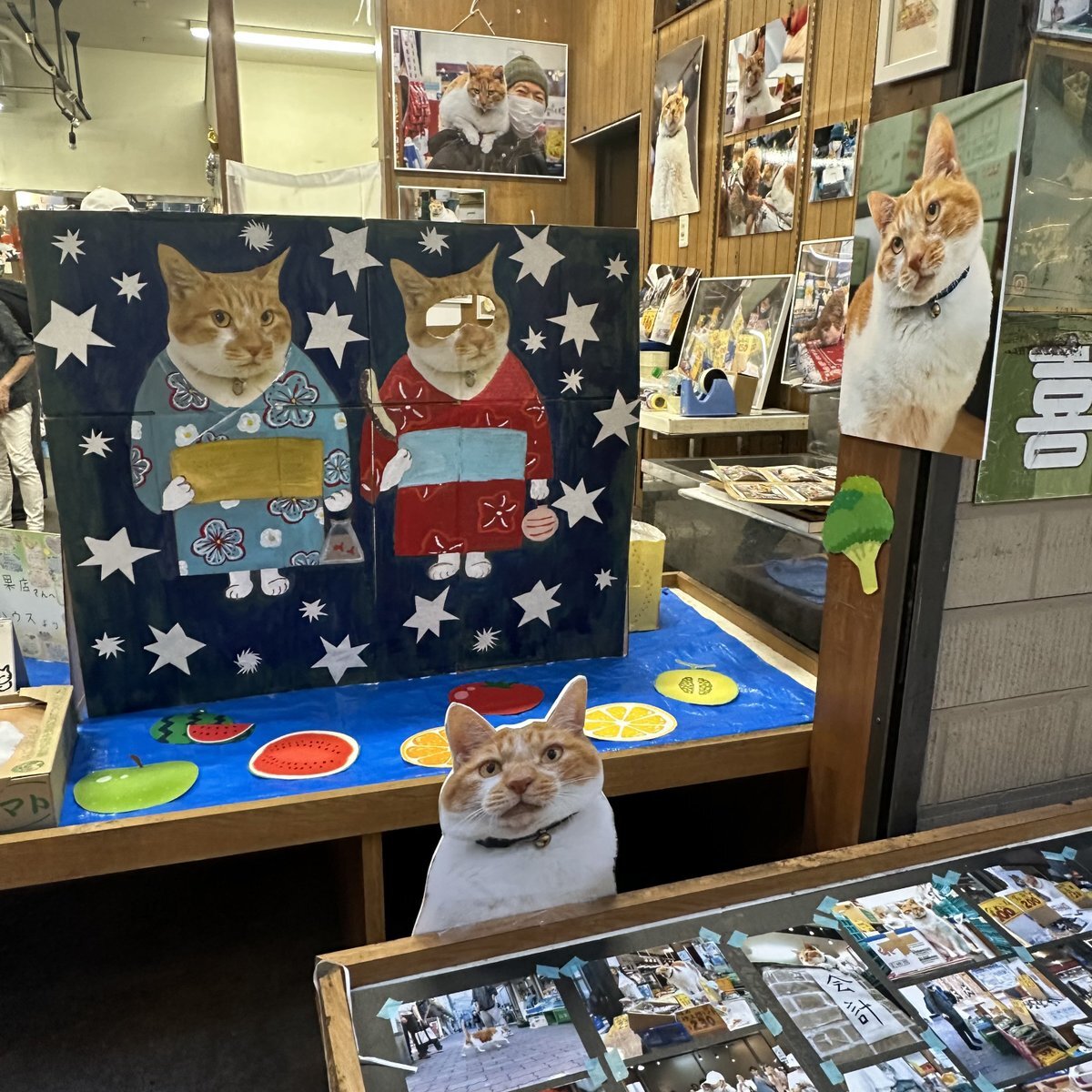 看板猫めいちゃん」のYahoo!リアルタイム検索 - X（旧Twitter