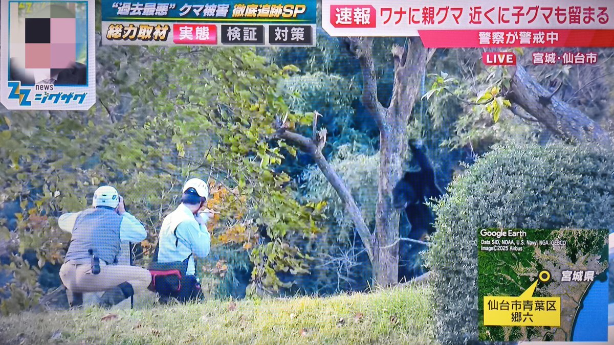 ニュースジグザグ、クマ捕獲中継に疑問の声