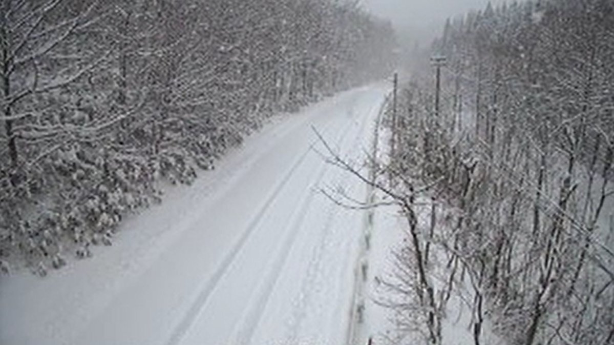 ライブカメラで見た雪景色や動物たち、そしてオーロラ