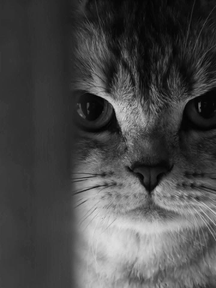 個人の自由：SNS上で様々な場面での議論が巻き起こる