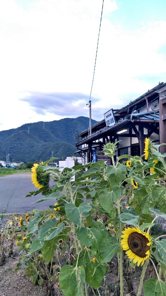 川田 のtwitter検索結果 Yahoo リアルタイム検索