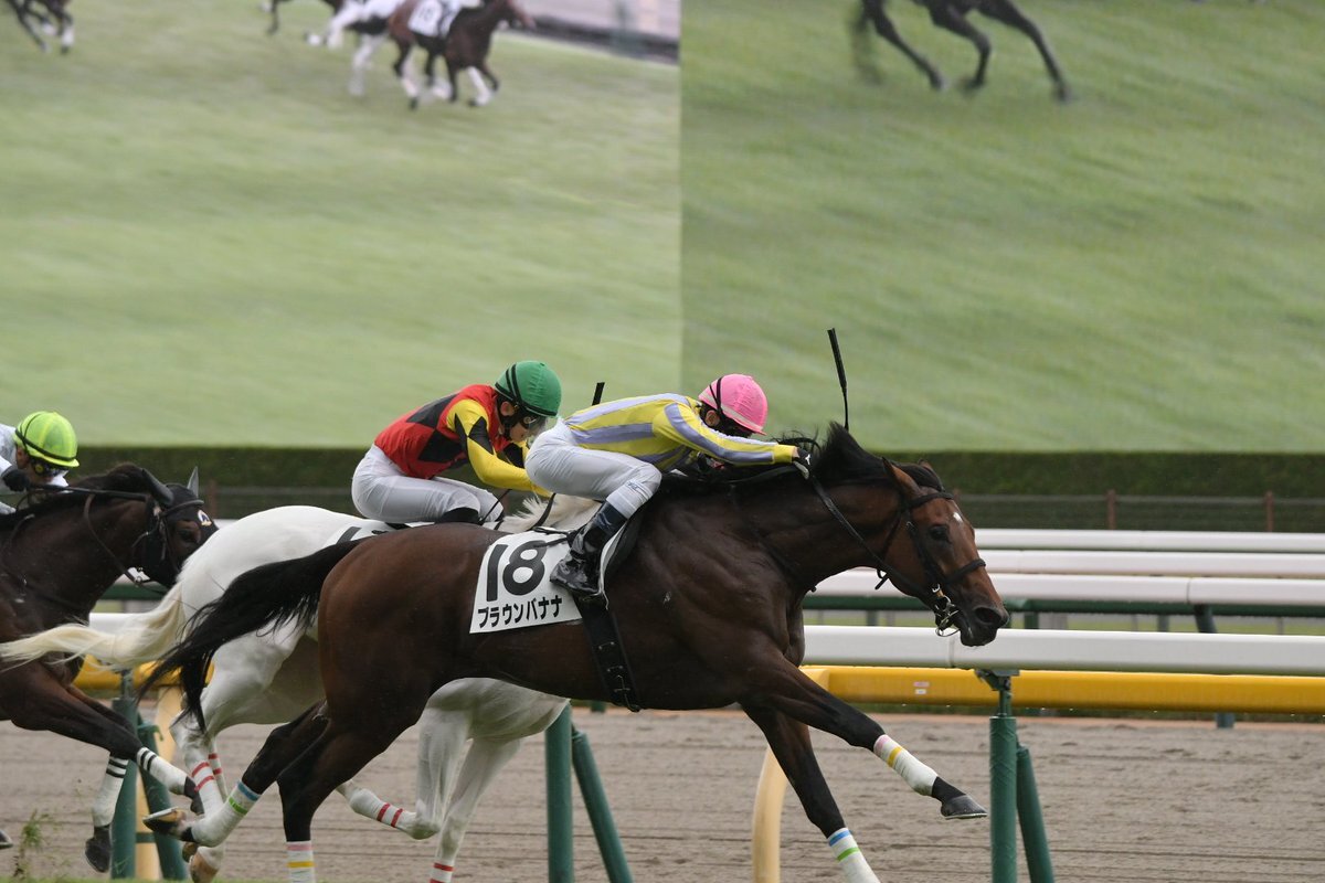 ブラウンバナナ、デビュー戦で勝利！そのネーミングセンスは？