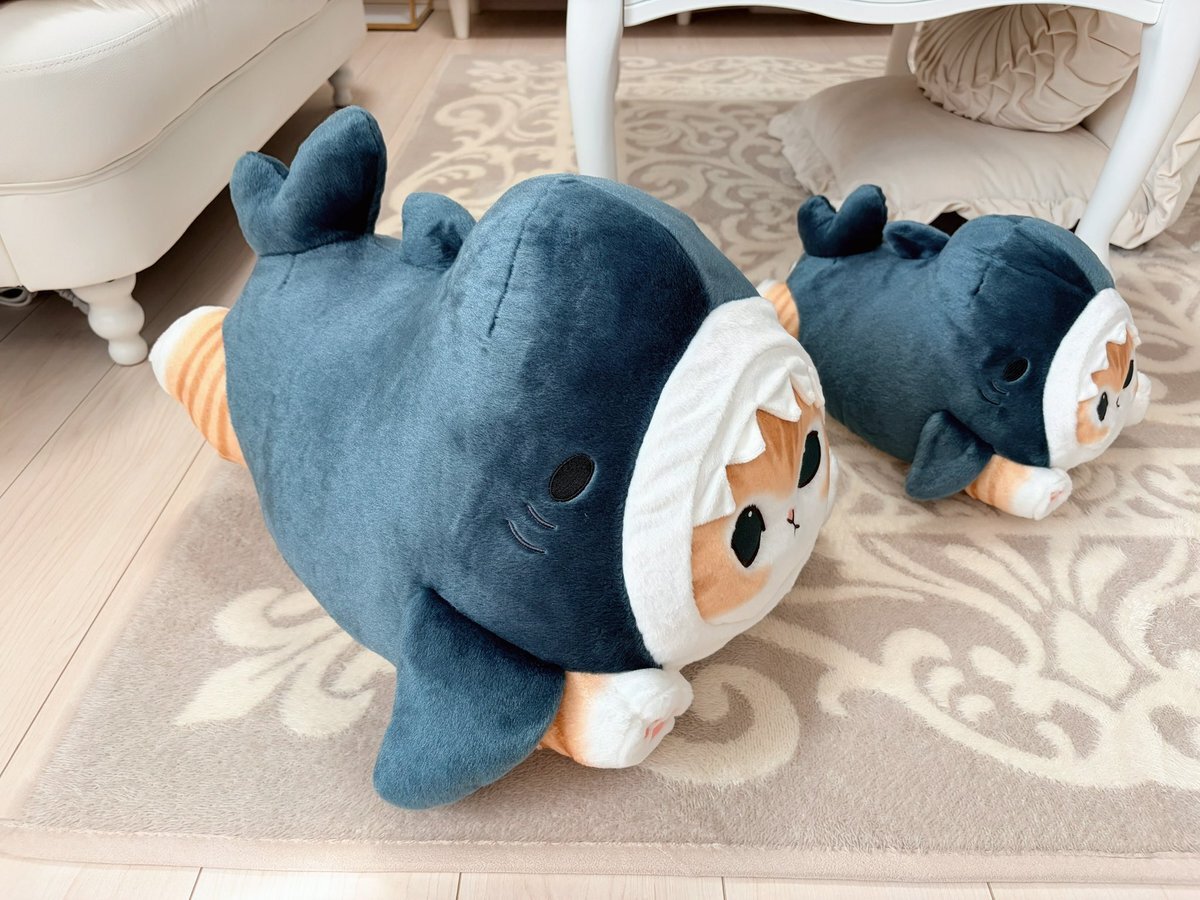 mofusand　サメにゃんくじ　C賞 D賞　６１点セット　大幅値下げしました！ mofusand ごろりん！サメにゃんズくじ - mofusandもふもふ