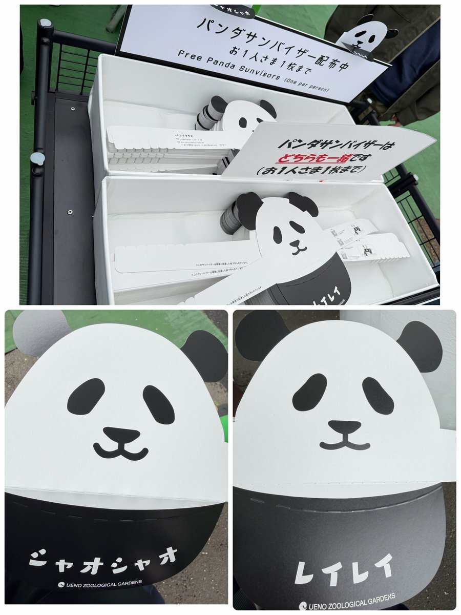 ☆Mさま専用です☆ わむ太郎 Amazon.co.jp: Number_i 神宮寺勇太 うちわ No.O -ring