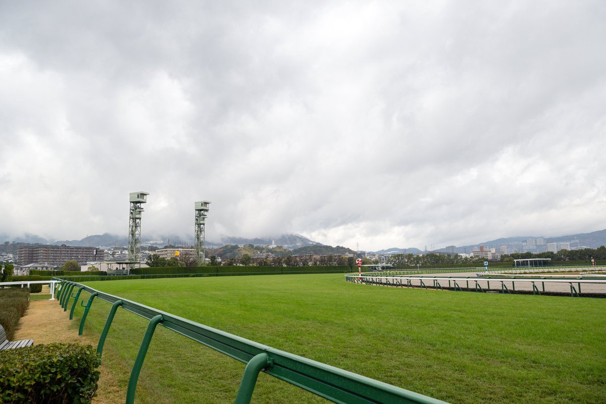 阪神ジュベナイルフィリーズ、クッション値8.3の稍重馬場が予想される