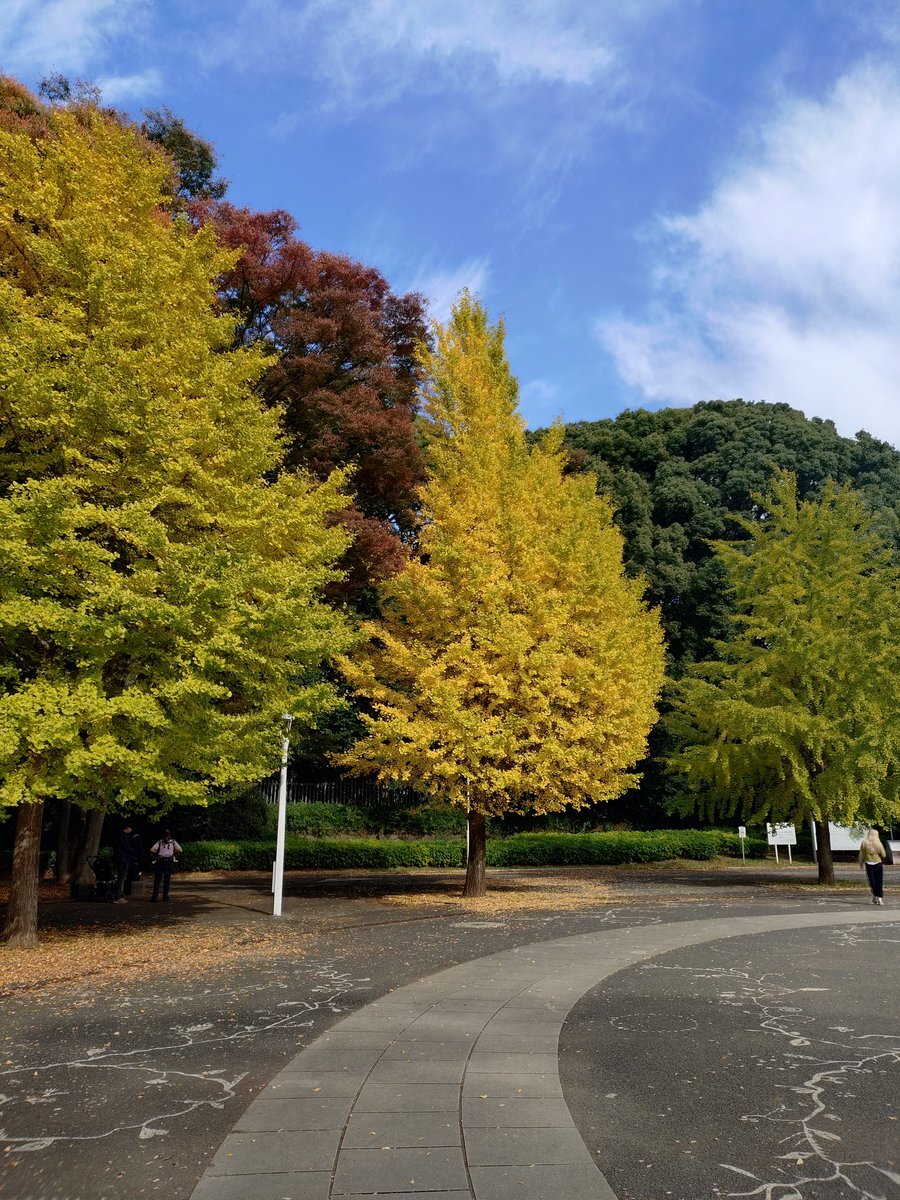 「マイあさ」でユーザーが共有する、穏やかな朝の風景と日々の暮らし