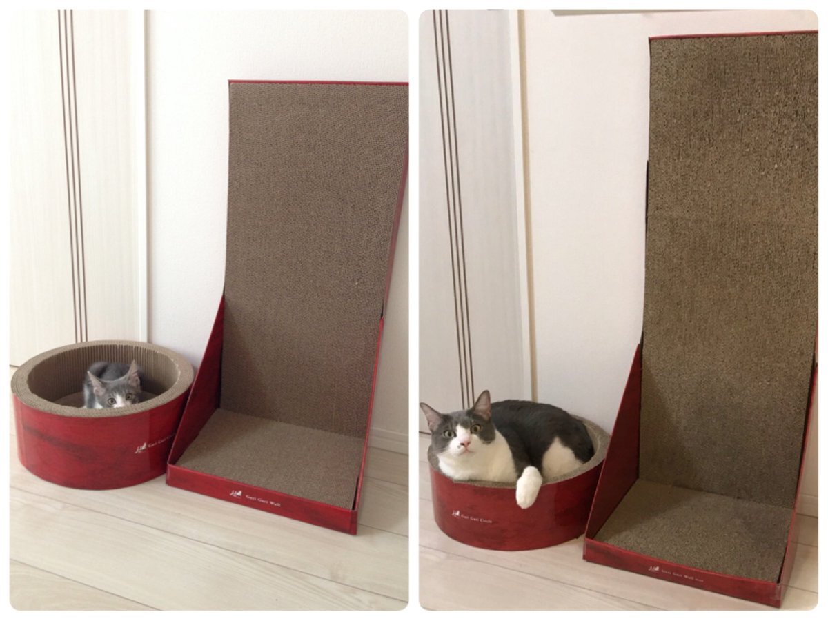 ♡ 楽天市場】TORY BURCH トリーバーチ ピアス LONG KIRA PEARL