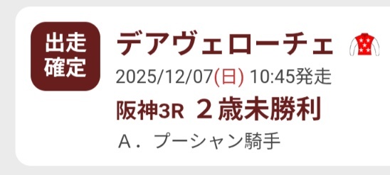 ビザンチンドリーム、有馬記念はプーシャン騎手とのコンビ！ファン期待高まる