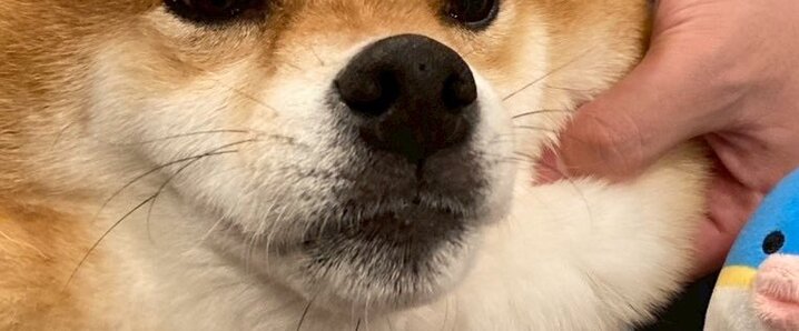 むーん X（旧Twitter）で話題のおもしろ画像や動画 - Yahoo