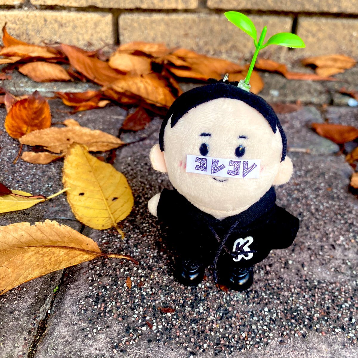 コレコレぬいぐるみキーホルダー」のYahoo!リアルタイム検索 - X