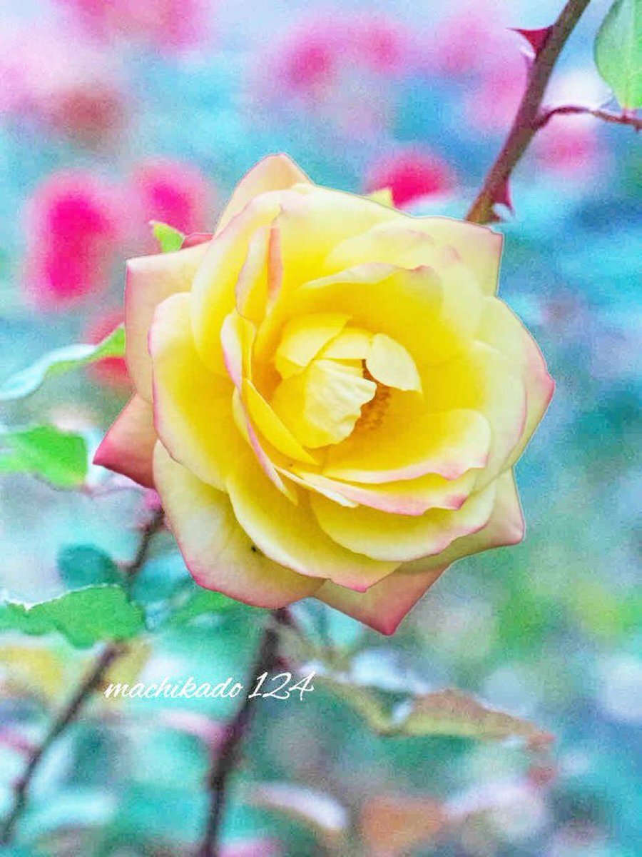 進化の日！ダーウィンの『種の起源』初版刊行を記念