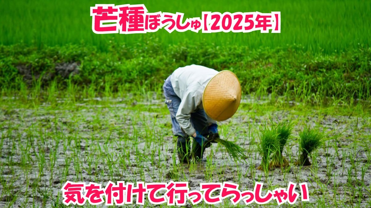 X（旧Twitter）で話題のおもしろ画像や動画 - Yahoo