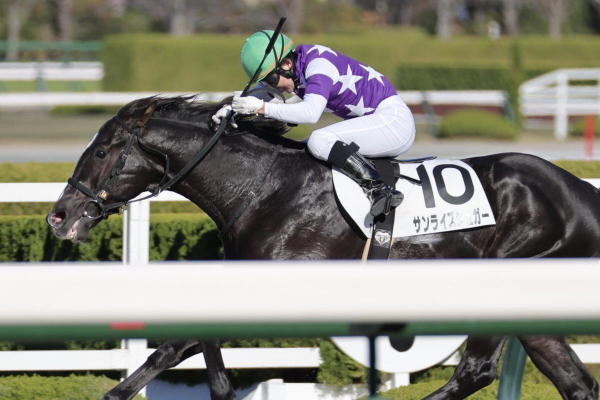 サンライズシュガー、転厩初戦で衝撃の勝利！