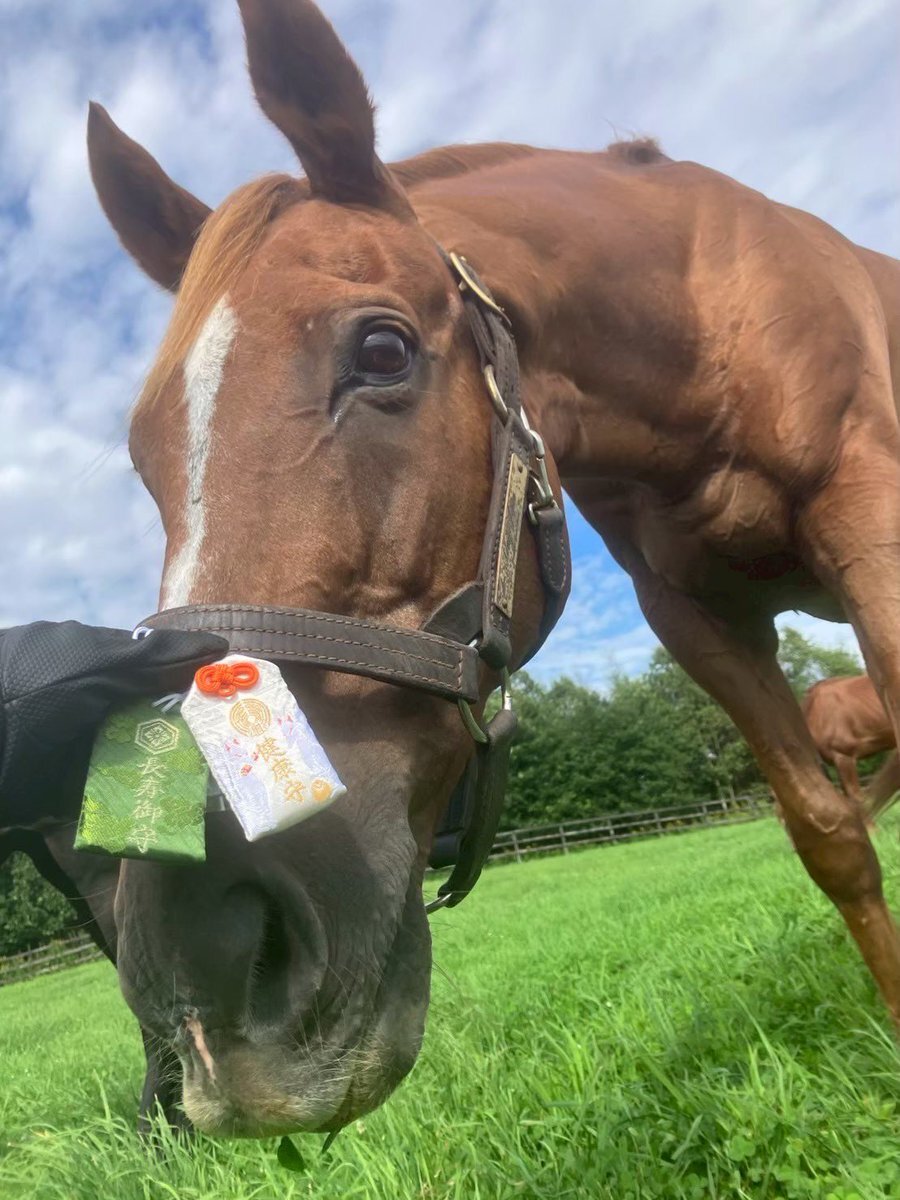 オルフェーヴル」のYahoo!リアルタイム検索 - X（旧Twitter）を