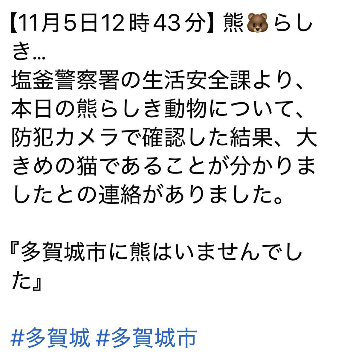 大きめの猫？ 多賀城市でクマと間違われた猫の正体とは？