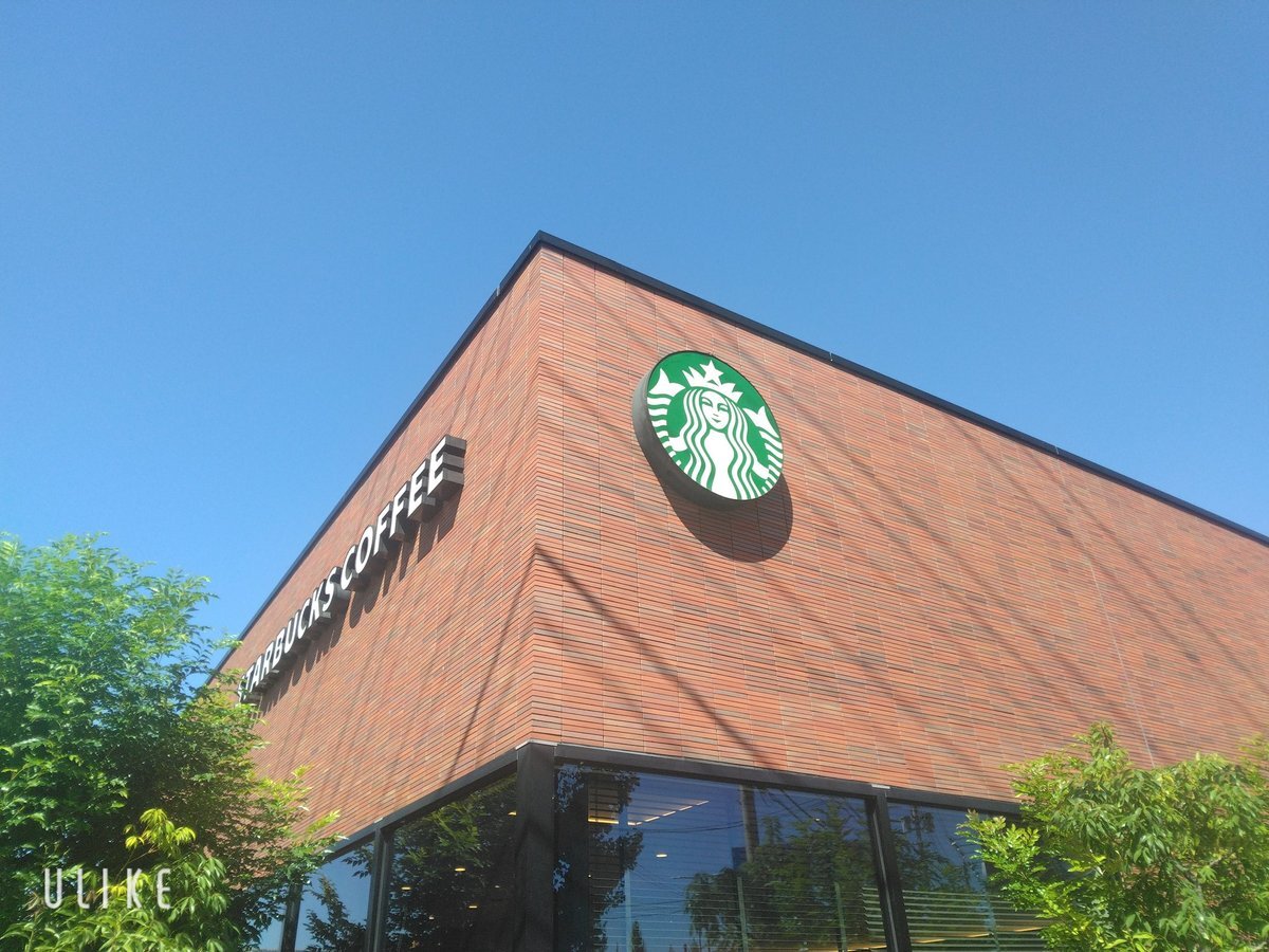 スタバの新作フラペチーノ、黒猫が可愛すぎる！