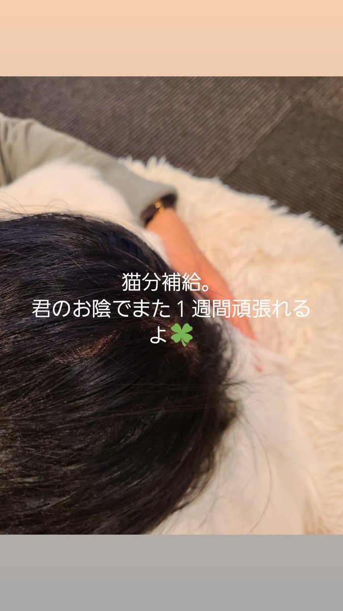 猫好き女子 のtwitter検索結果 Yahoo リアルタイム検索