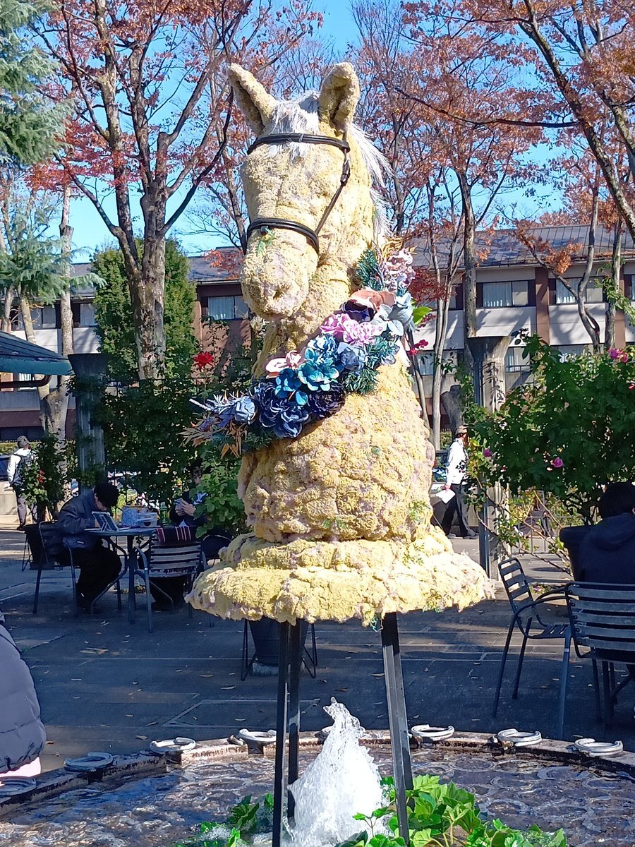 ペンナヴェローチェ、花園ステークスで惜敗！ファンは「ハナ差」に涙