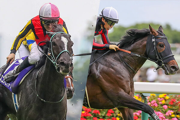 JRA VAN限定 エフフォーリア レーシングパネル 2025年最新】エフフォーリアの人気アイテム - メルカリ
