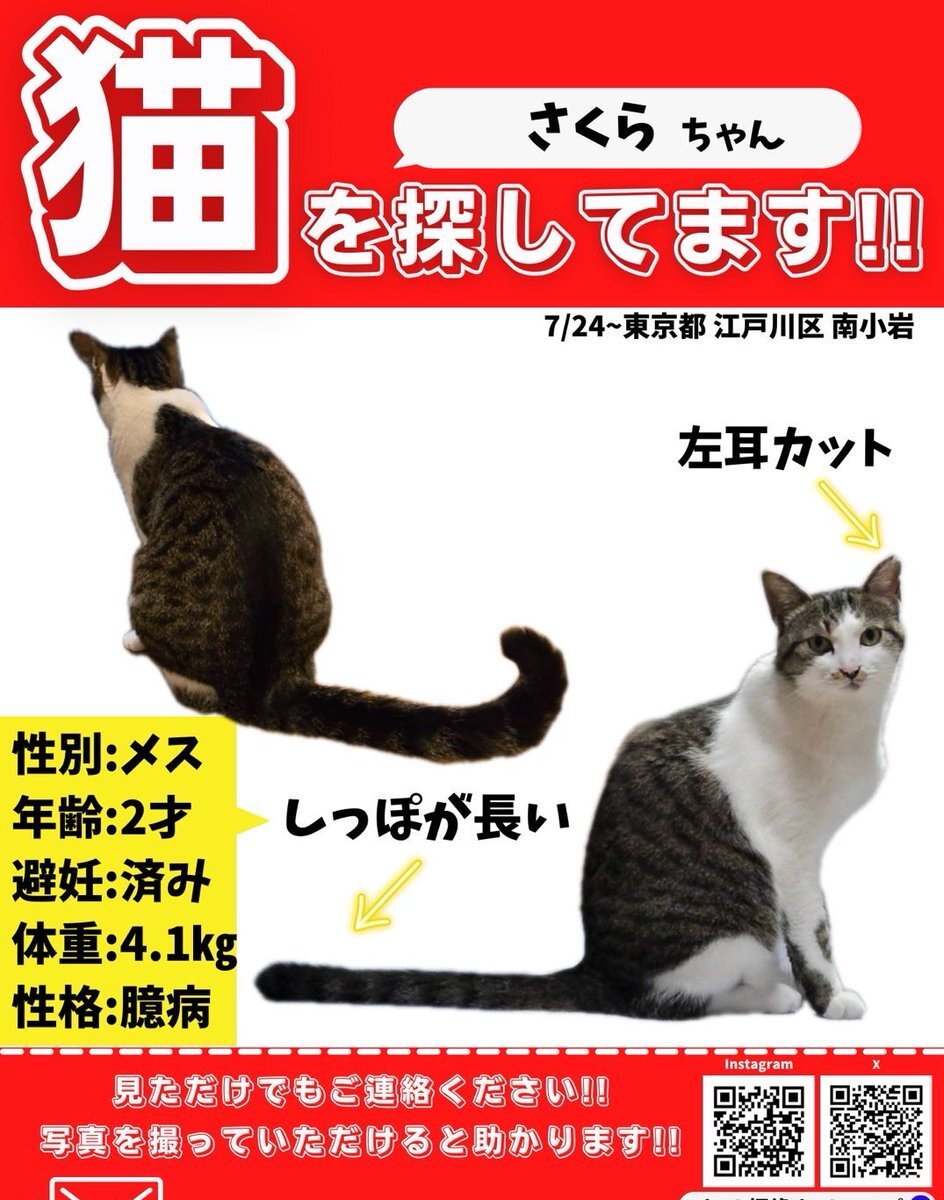 購入前に連絡下さい★猫飼ってます•*¨*•.¸♬︎ 猫」のYahoo!リアルタイム検索 - X（旧Twitter）をリアルタイム検索