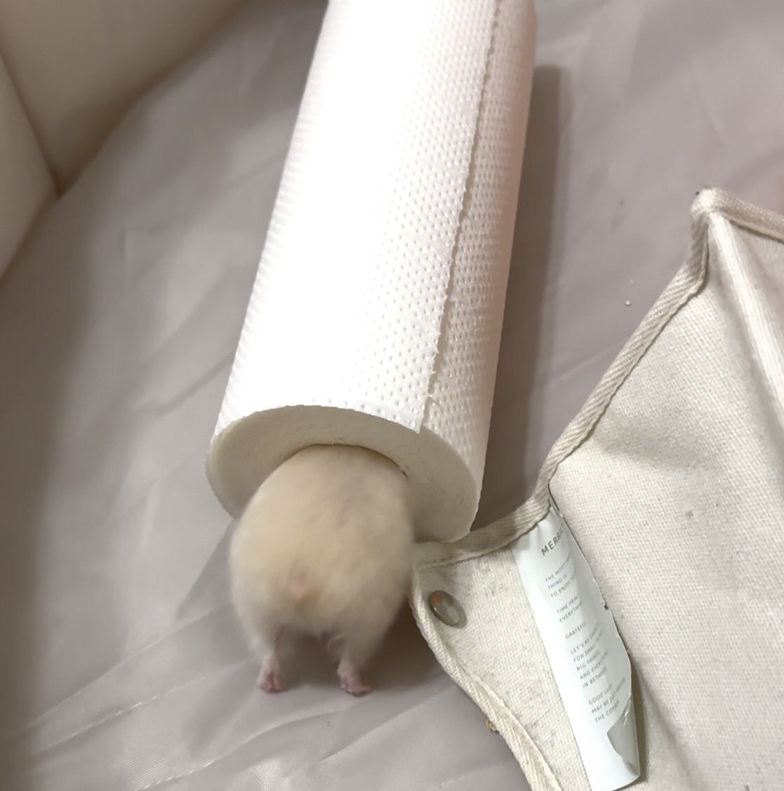 READINGWORLD 約束の鎮魂歌 約束の果て グッズフルセット 送料込！！ 約束の鎮魂歌（レクイエム） パンフレット クリアファイル ＆be