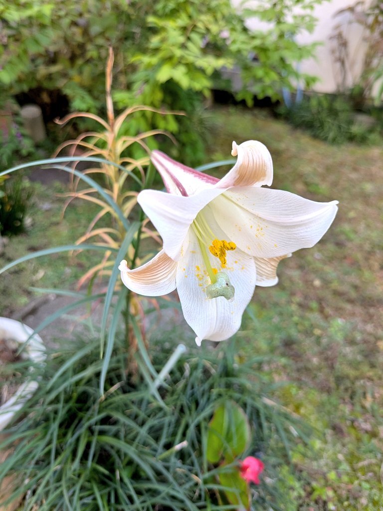 日曜日の朝、Twitterユーザーたちの過ごし方は？