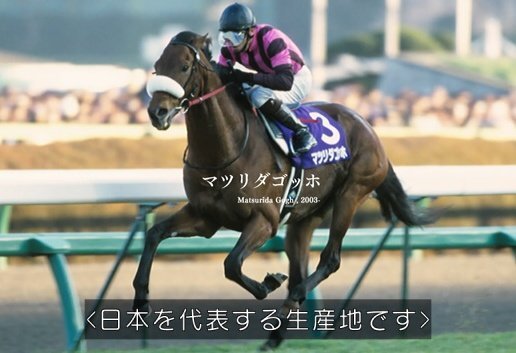 マツリダゴッホ、なぜトレンド入りした？