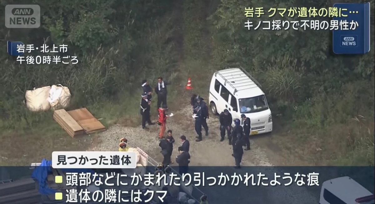 岩手県北上市で男性遺体発見、クマ襲撃の可能性