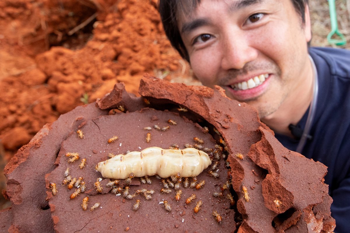 クレイジージャーニー 象」のYahoo!リアルタイム検索 - X（旧