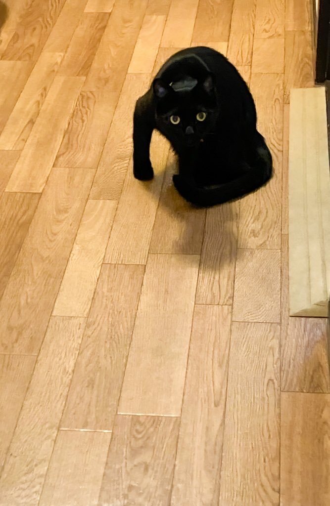 生前整理」のYahoo!リアルタイム検索 - X（旧Twitter）を