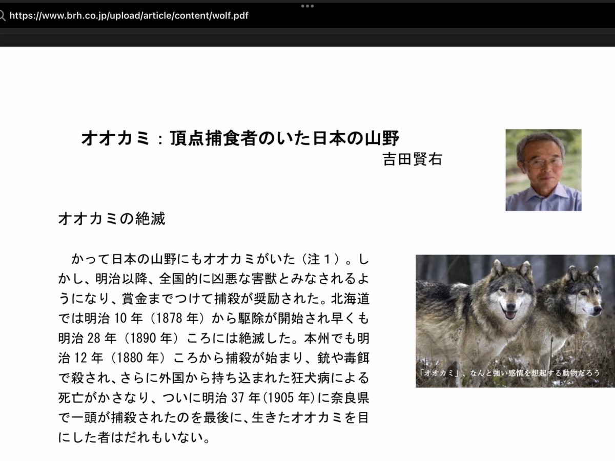 南陽市で市職員、クマに襲われ重傷