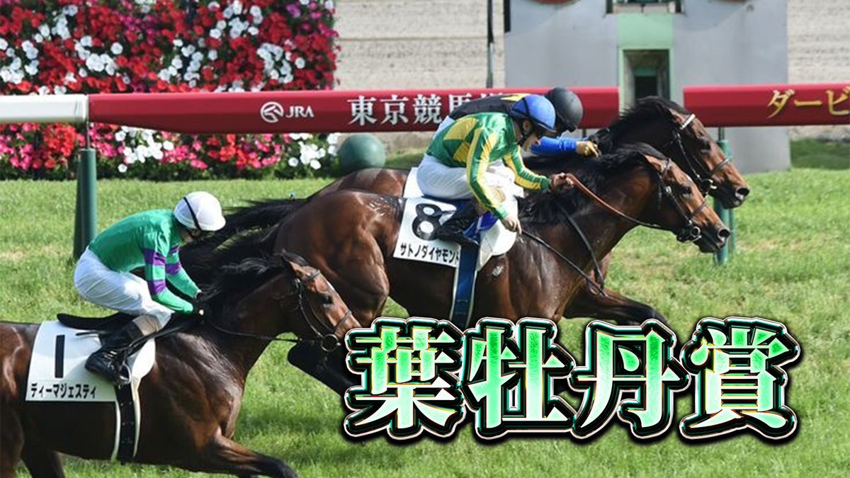 オブラプリーマ、葉牡丹賞で好走！ 多くのファンが「かっこいい」と称賛