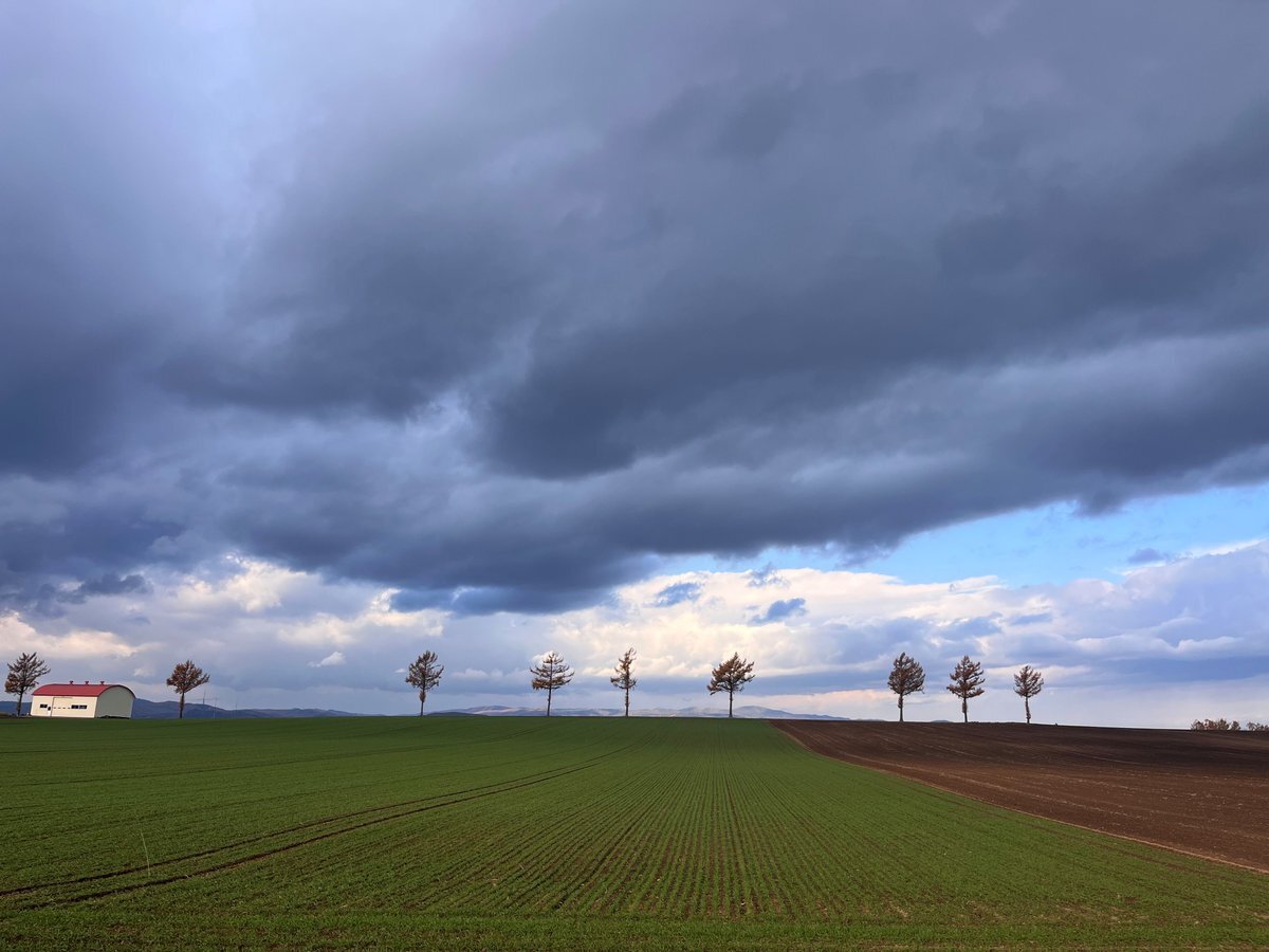 北海道の天気予報、雪が降る？