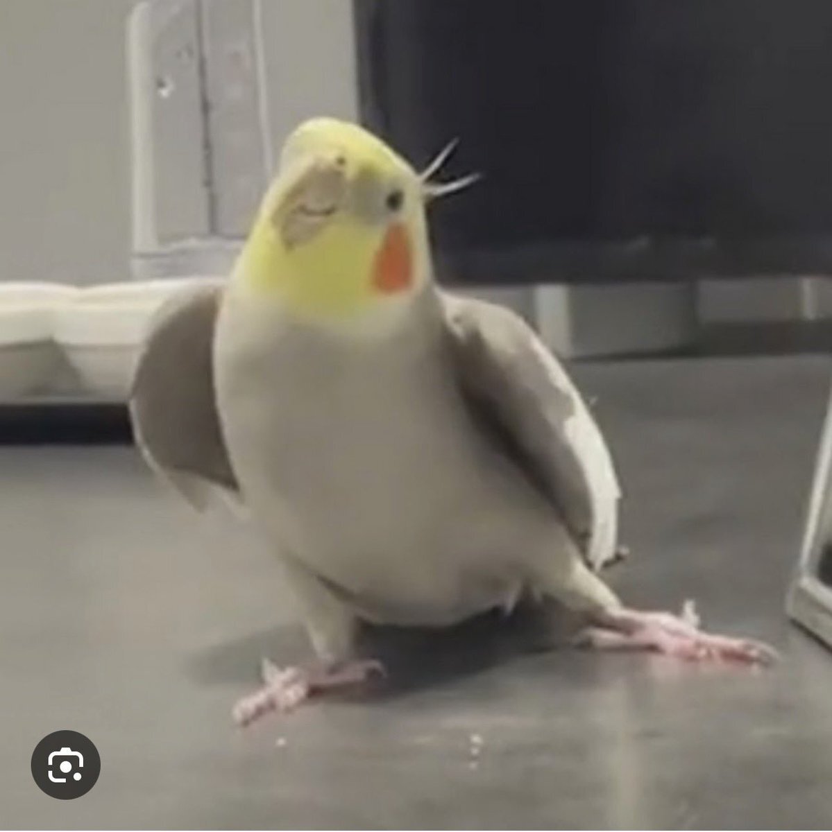 再シュリンク」のYahoo!リアルタイム検索 - X（旧Twitter）を