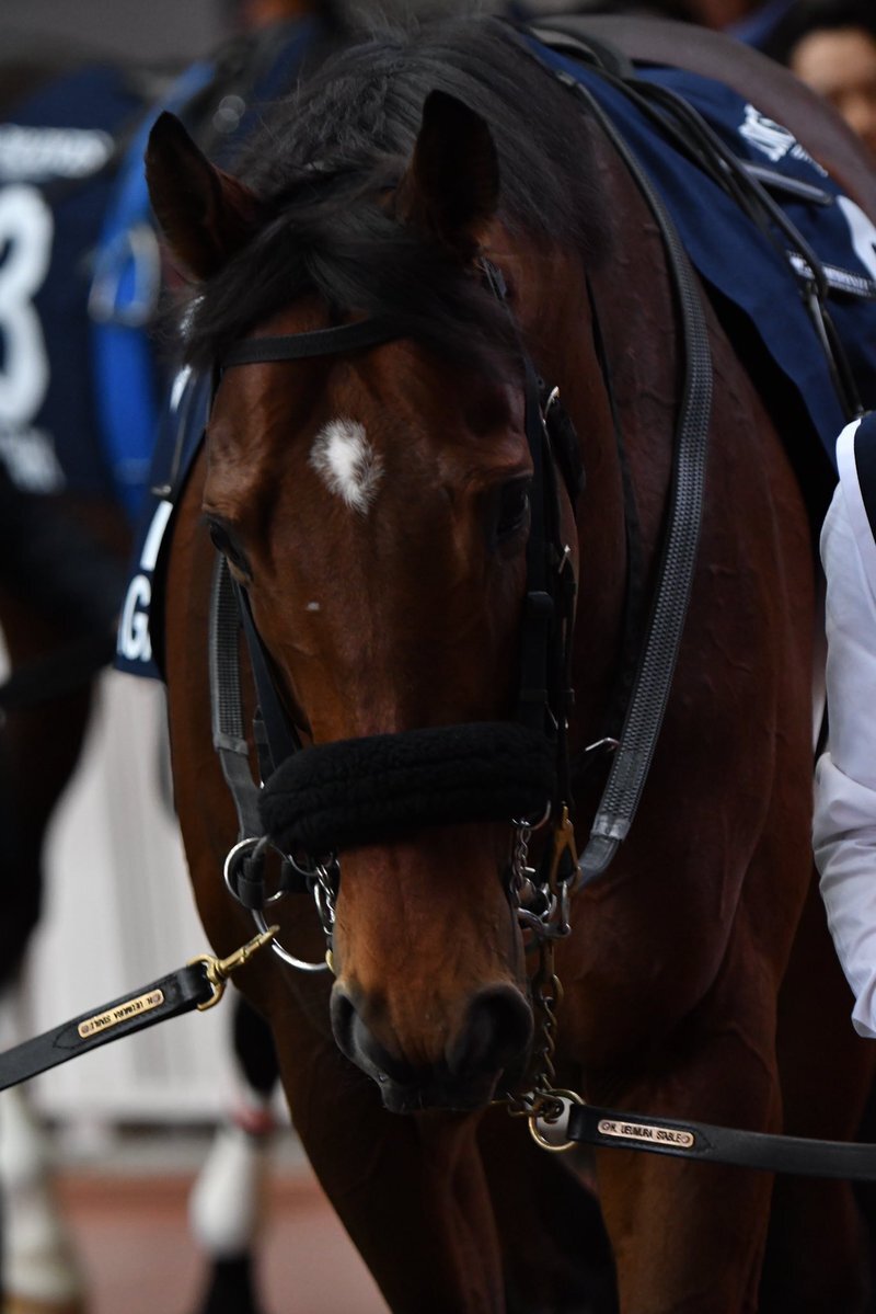 ロマンチックウォリアー、香港カップで4連覇！横山和生騎手はベラジオオペラで2着