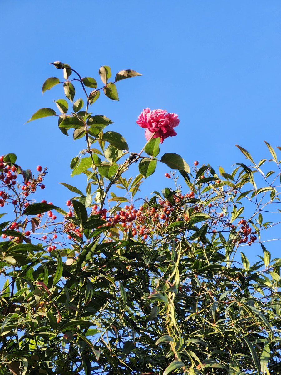 桐山漣、旅番組「遠くへ行きたい」で魅了！