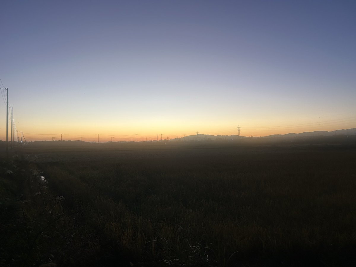 さわやか自然百景で魅せる！関門海峡の渡り鳥たち