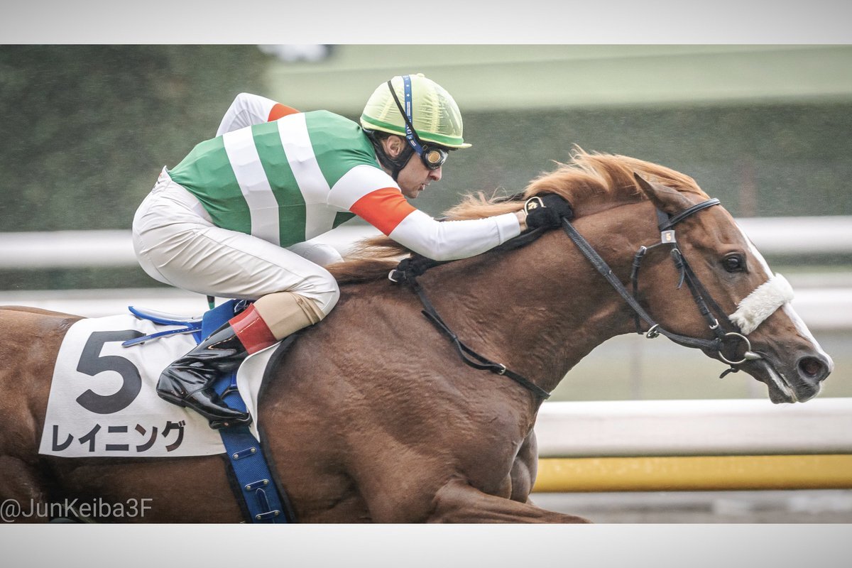 レイニング、東京競馬で勝利！ファン歓喜