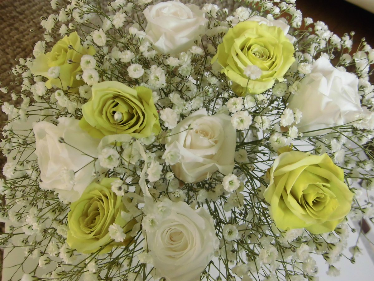 つくばエクスプレス 八潮駅 のtwitter検索結果 Yahoo リアルタイム検索