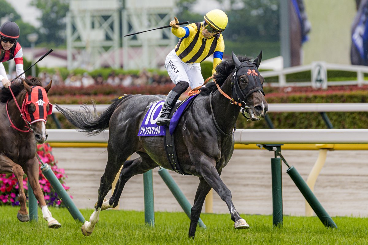 ジャンタルマンタル、国内マイルG1完全制覇！ 圧巻の勝利にファン興奮