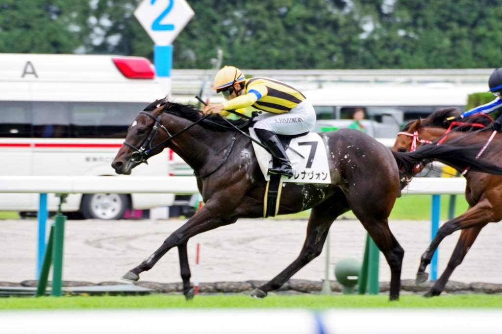 ブレナヴォン、京都3Rで圧巻の勝利！ 