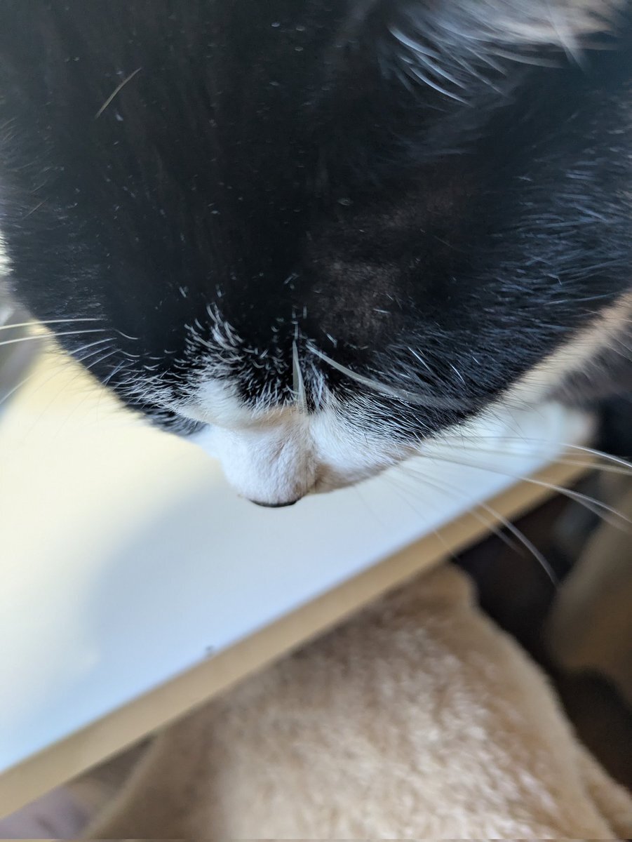 ZIP!体操、阿部亮平と浦川翔平の相性抜群にファン歓喜！