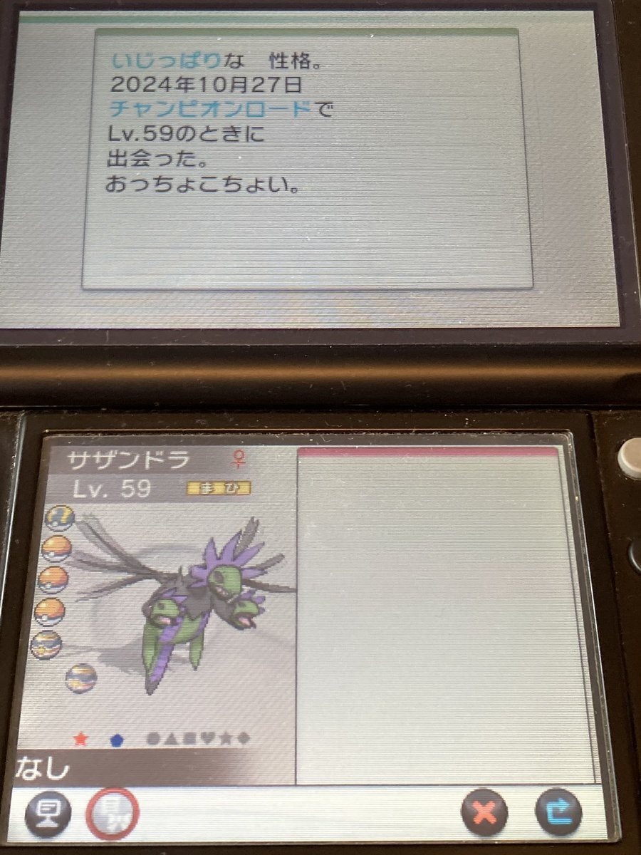 最強サザンドラ、その強さは？