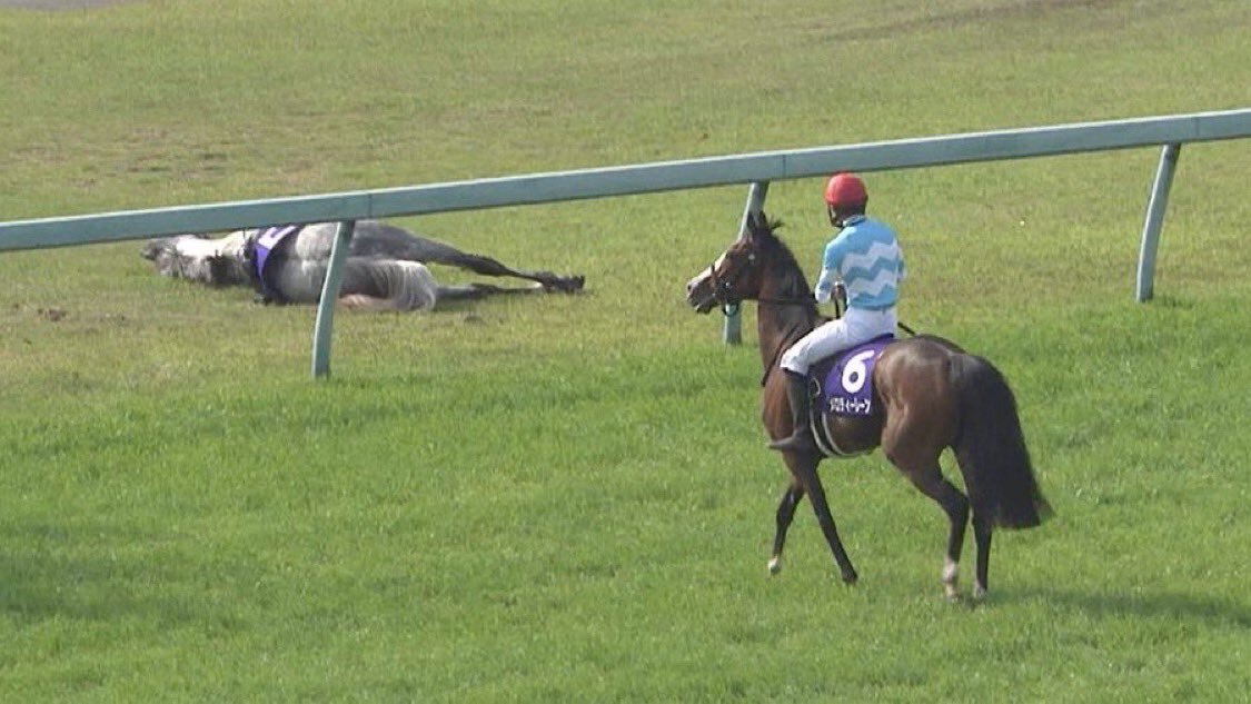 アドマイヤテラ、シルヴァーソニックを彷彿とさせる劇的な勝利！