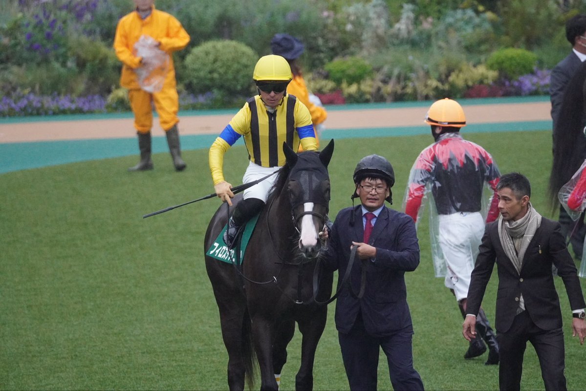 アルテミスS優勝馬フィロステファニ、まさかの怪我