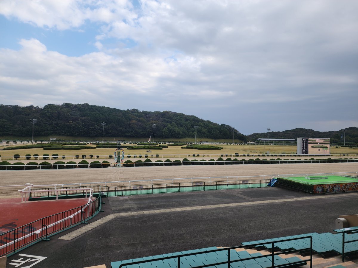 ドラマ「ザ・ロイヤルファミリー」の馬、強かった？