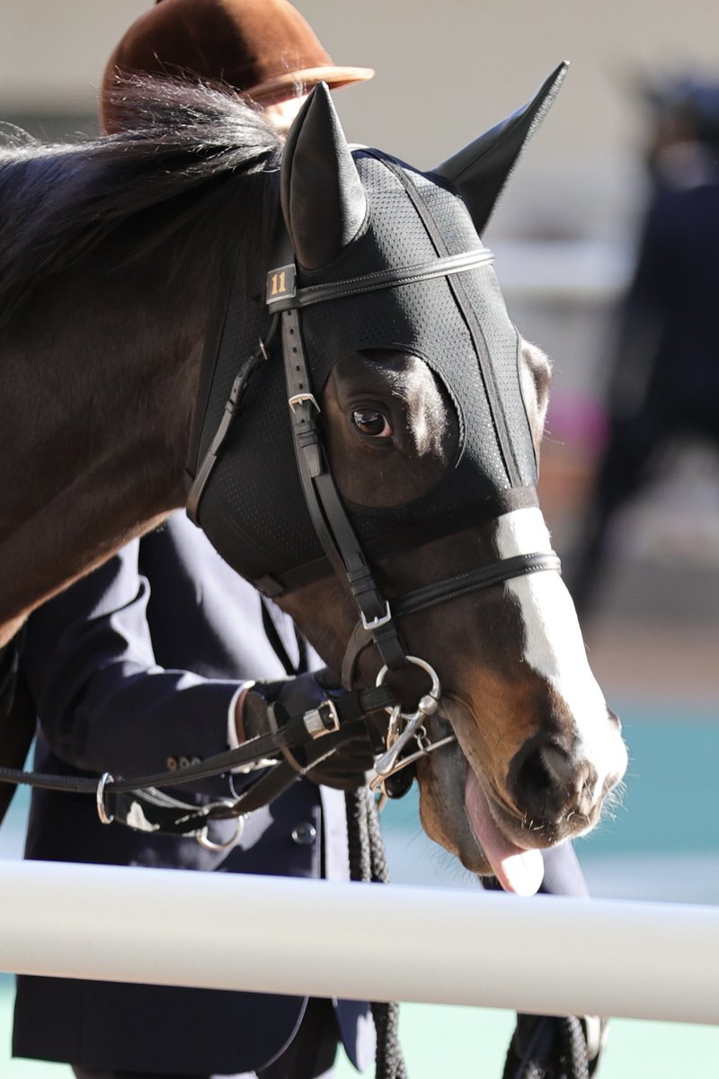 ドゥラエレーデ引退！ホープフルS制覇馬が種牡馬入り