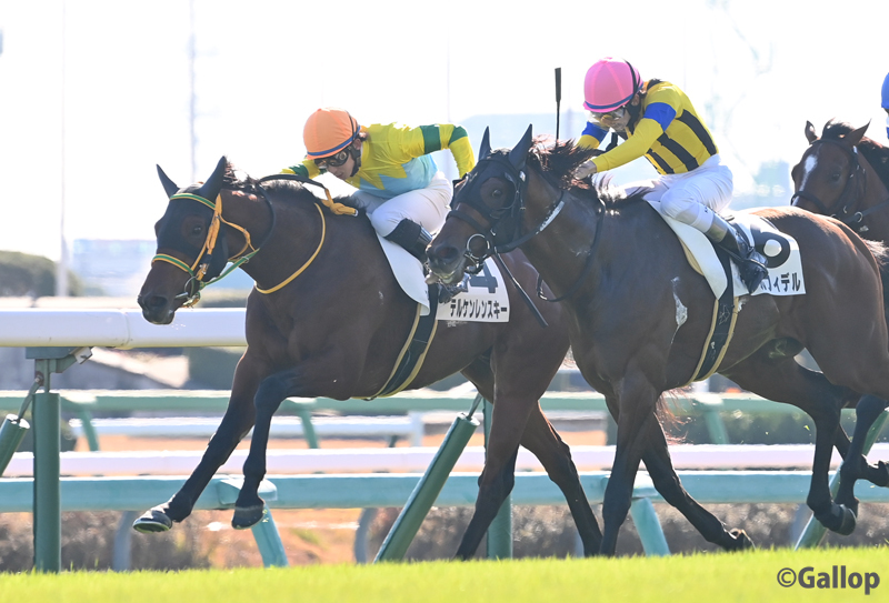 テルケンレンスキー、中山2Rで初勝利！ ファン歓喜